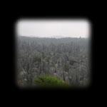Kunming - Foresta di pietra