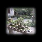 Suzhou